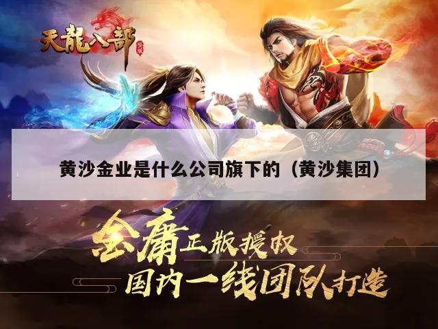 黄沙金业是什么公司旗下的（黄沙集团）