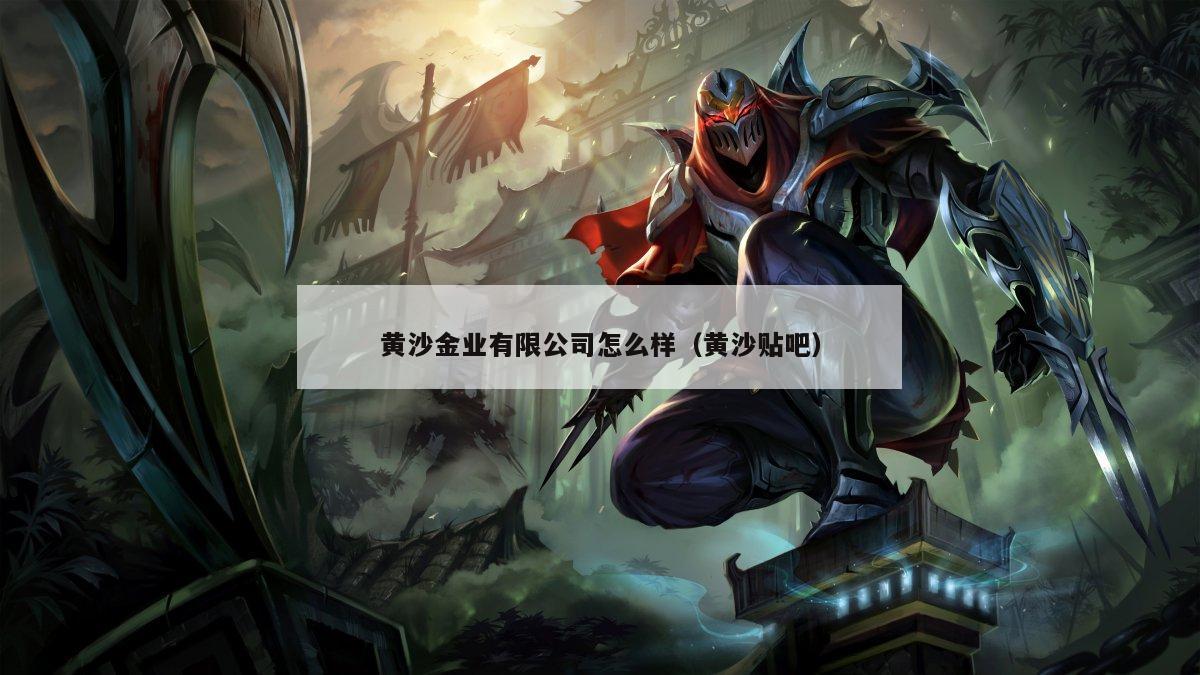 黄沙金业有限公司怎么样（黄沙贴吧）