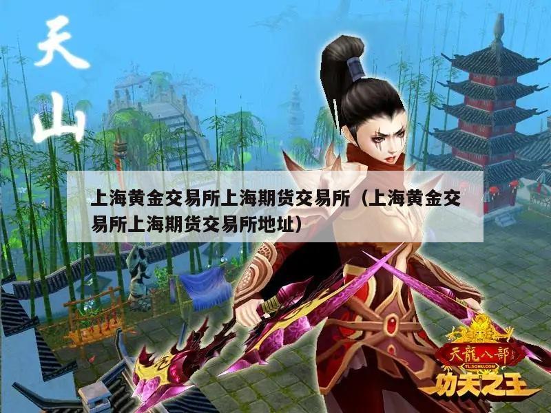 上海黄金交易所上海期货交易所（上海黄金交易所上海期货交易所地址）