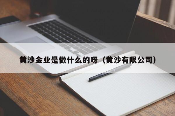 黄沙金业是做什么的呀（黄沙有限公司）